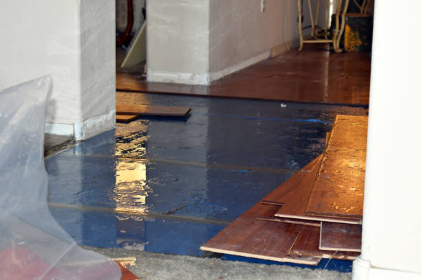 Professional Sewage Cleanup technician working in Springfield, NE